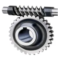 Worm Gear (2)